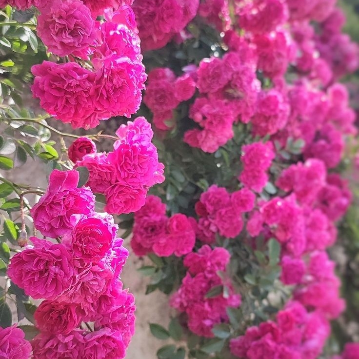 دانلود اهنگ منو تو فرق داریم با هم رفیق تنهاییاتم سکوت سرد شبا